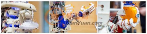 進博會展品搶先看，英飛凌攜3D打印人形機器人Roboy 2.0首度亮相中國